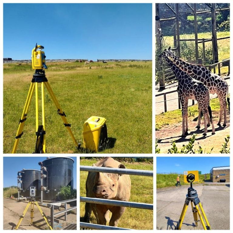 Surveying on Safari!