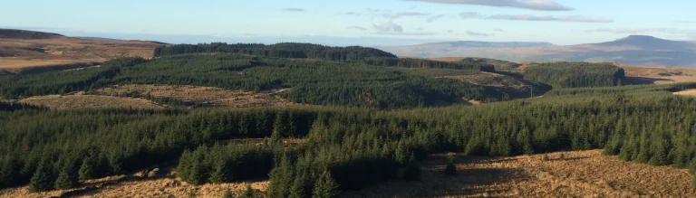 Forest of Bowland Header