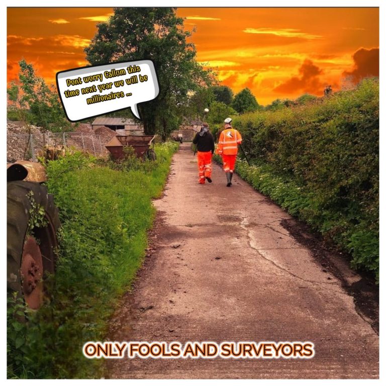 Only Fools and Surveyors