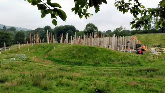 Bone Temple Construction